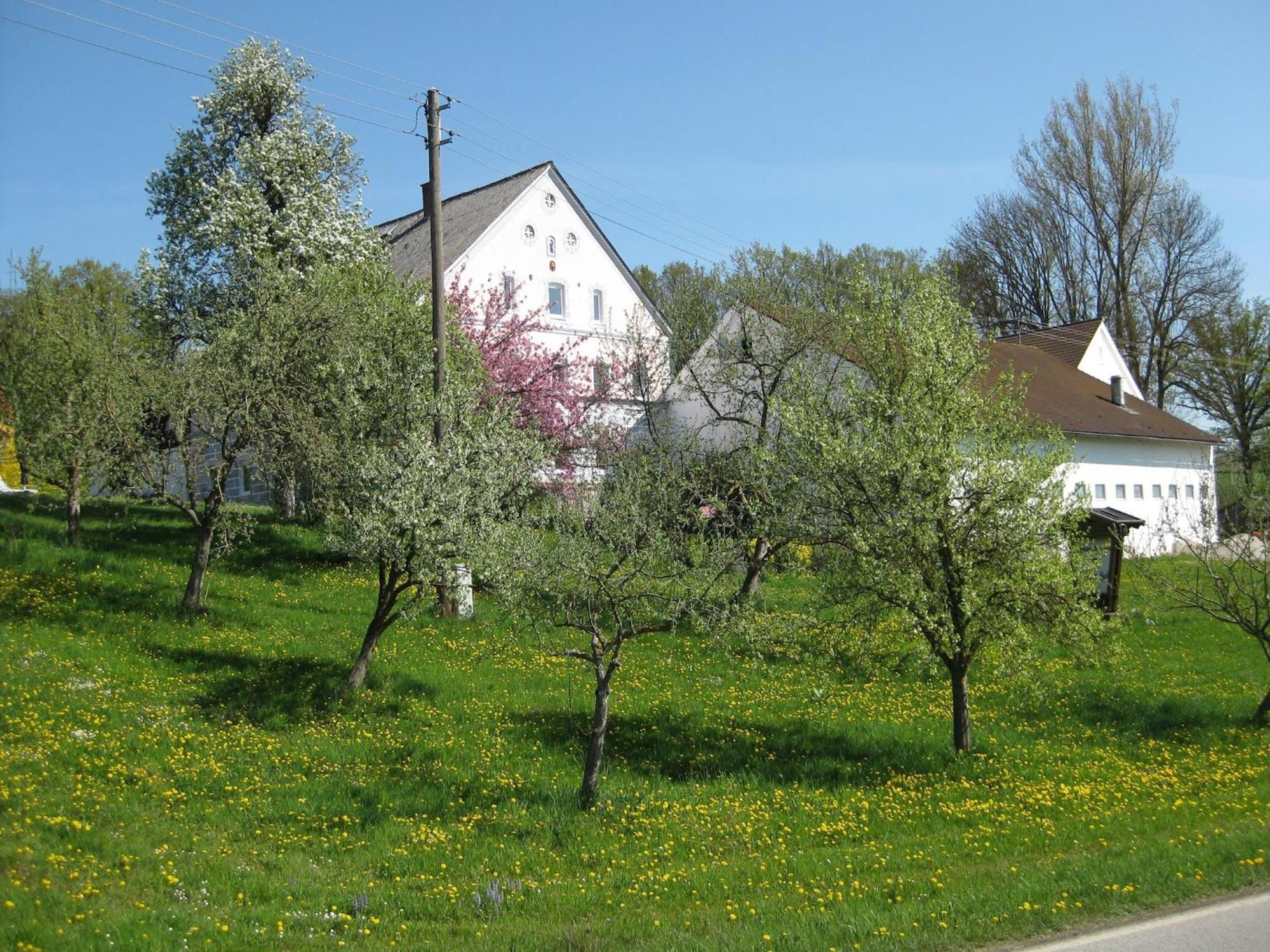 Comfortable Apartments In Rotthalm Nster Rotthalmuenster Exteriör bild