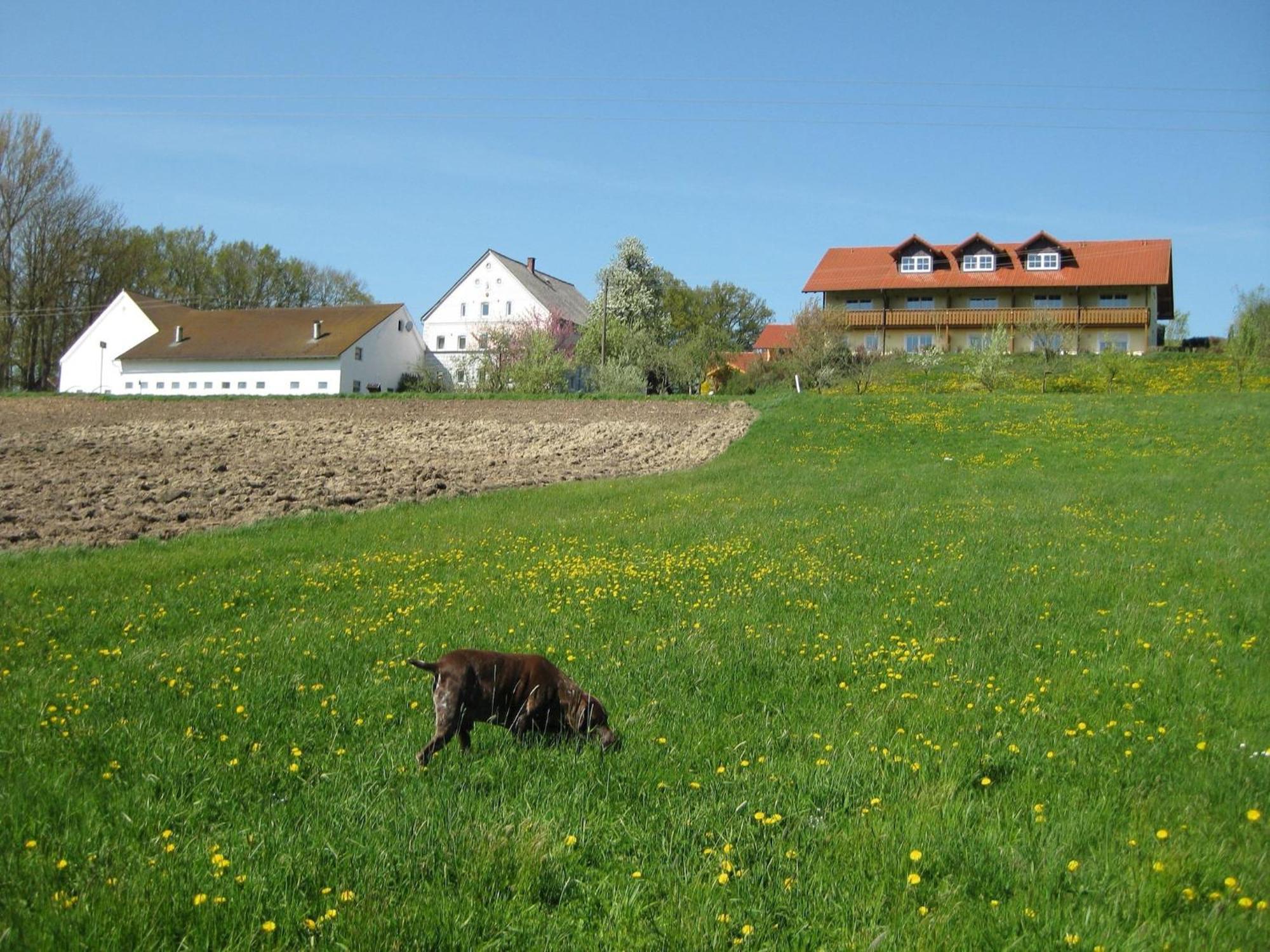 Comfortable Apartments In Rotthalm Nster Rotthalmuenster Exteriör bild